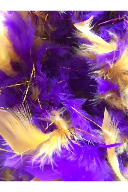 Purple and Gold Boa with Matching Tinsel